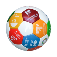 Load image into Gallery viewer, Beach &amp; Soccer (SDG)