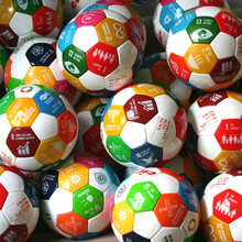 Load image into Gallery viewer, 1 x SDG soccer ball