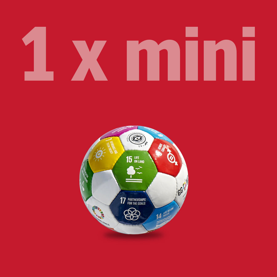 Buy Official SDGs Soccer Ball Online