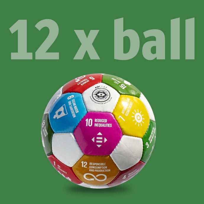 12 x SDG soccer ball